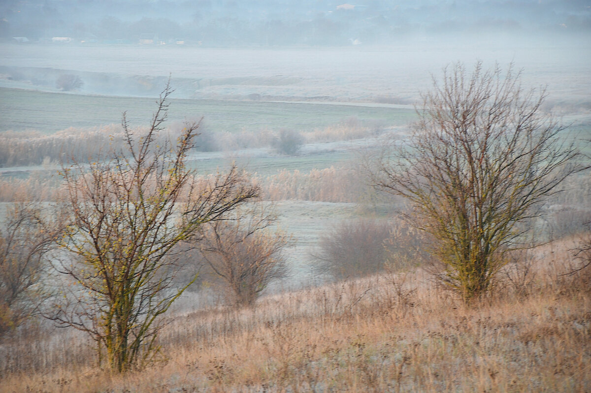 Предзимье.... - Надежда Куркина 