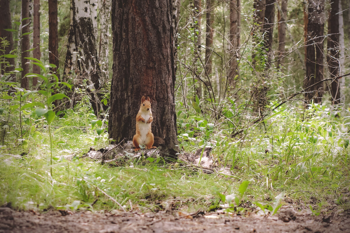 ...Так? - Сергей Царёв ...Так? - Сергей Царёв