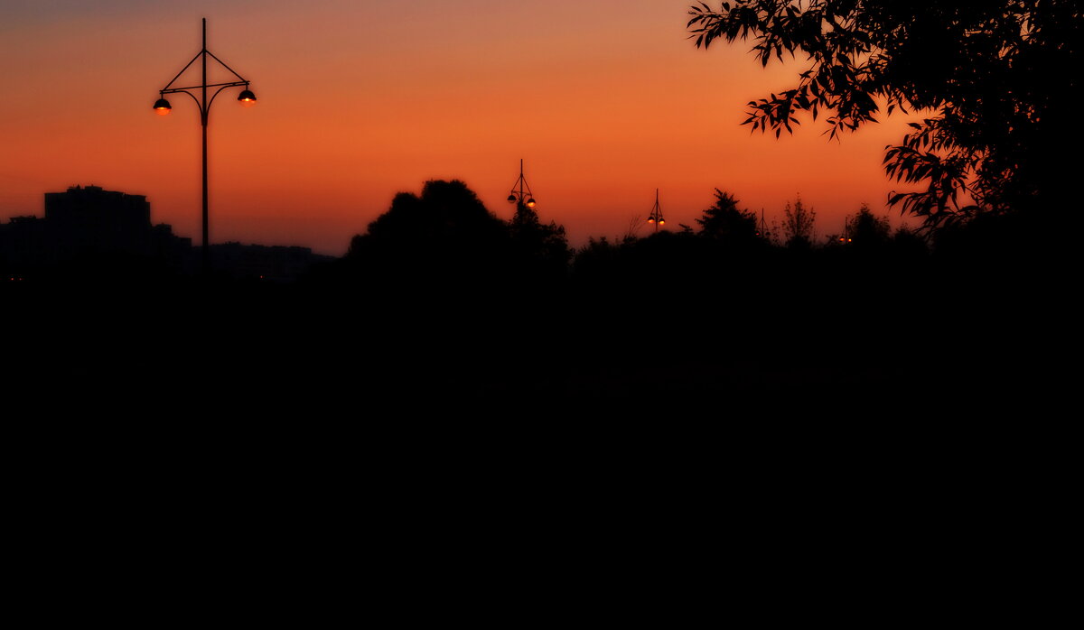 Утреннее зарево. - Василий Палий