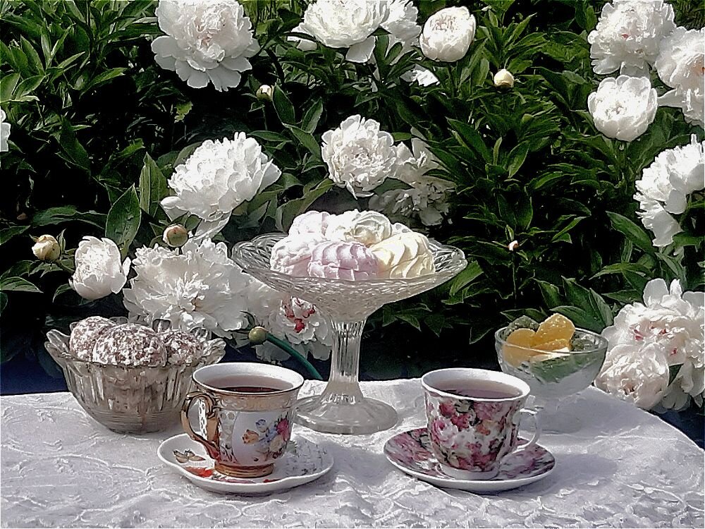 Летнее утро! - Нина Андронова