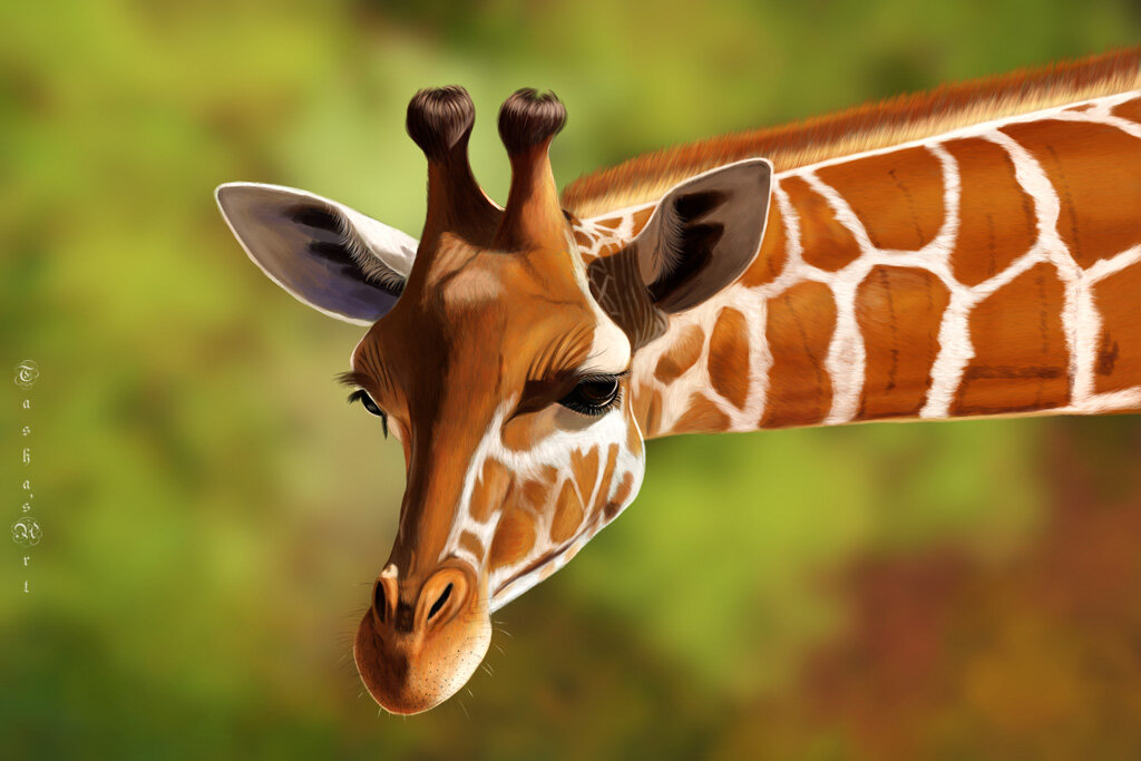 Жираф - Наталия Львова