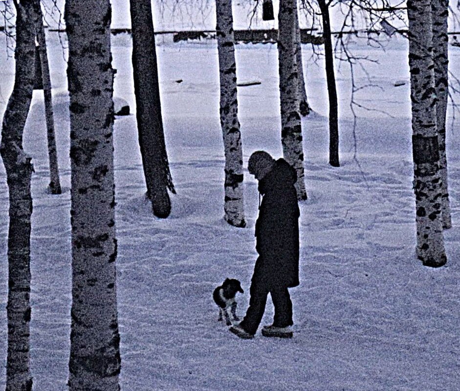 Декабрь...Песик замерз! - Владимир 