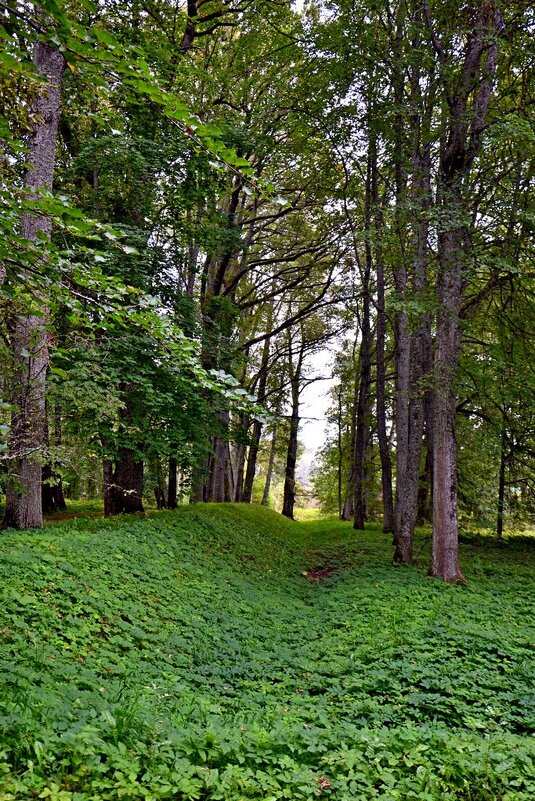 ПЕТРОВСКОЕ, вотчина Ганнибалов. - Виктор Осипчук