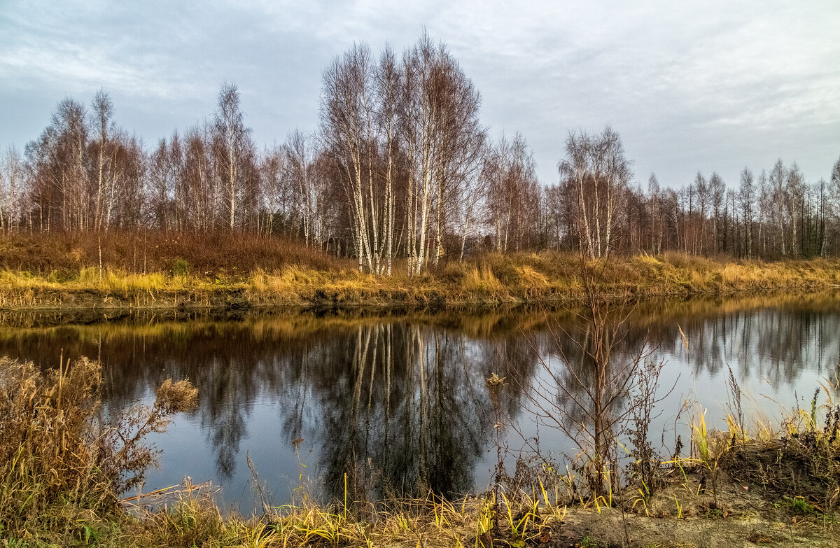 Во такая зима в Подмосковье 2 - Андрей Дворников Во такая зима в Подмосковье 2 - Андрей Дворников