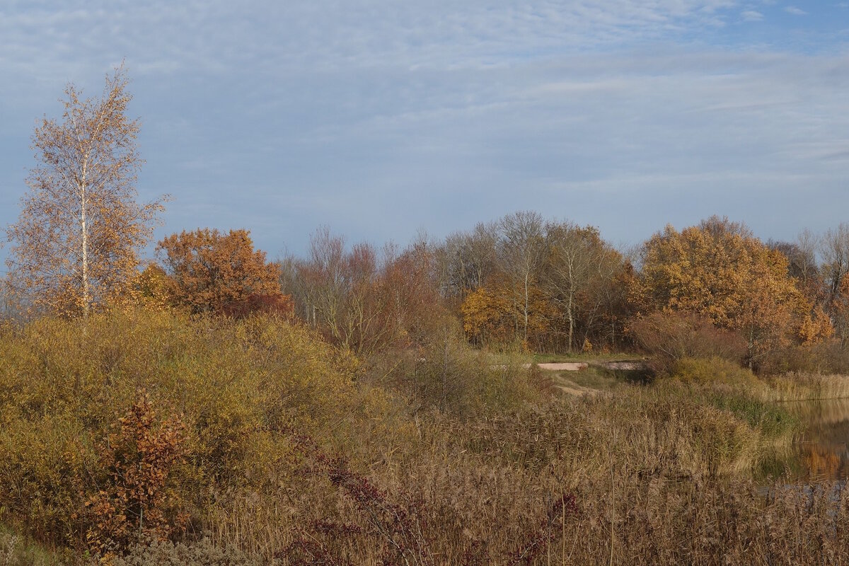 Осенний пейзаж - Рита Симонова Осенний пейзаж - Рита Симонова