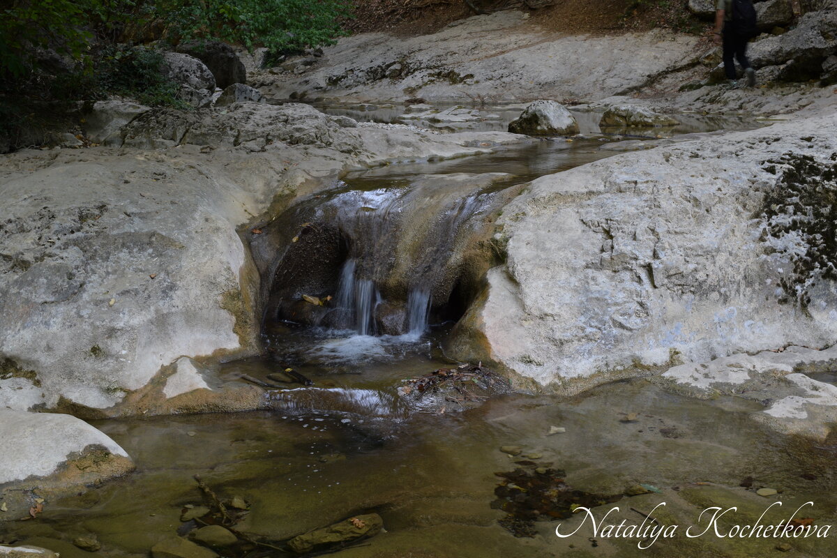 Природа Крыма - Amazing Cosmea Природа Крыма - Amazing Cosmea
