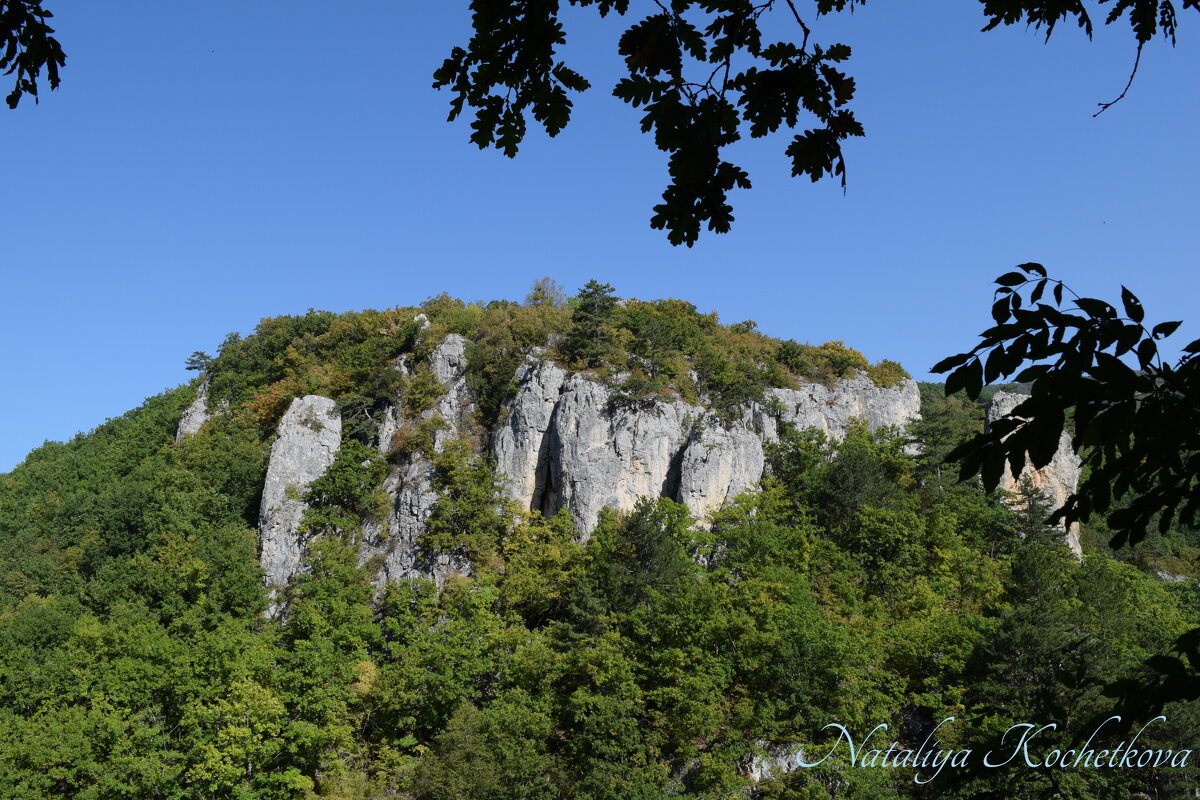 Природа Крыма - Amazing Cosmea Природа Крыма - Amazing Cosmea