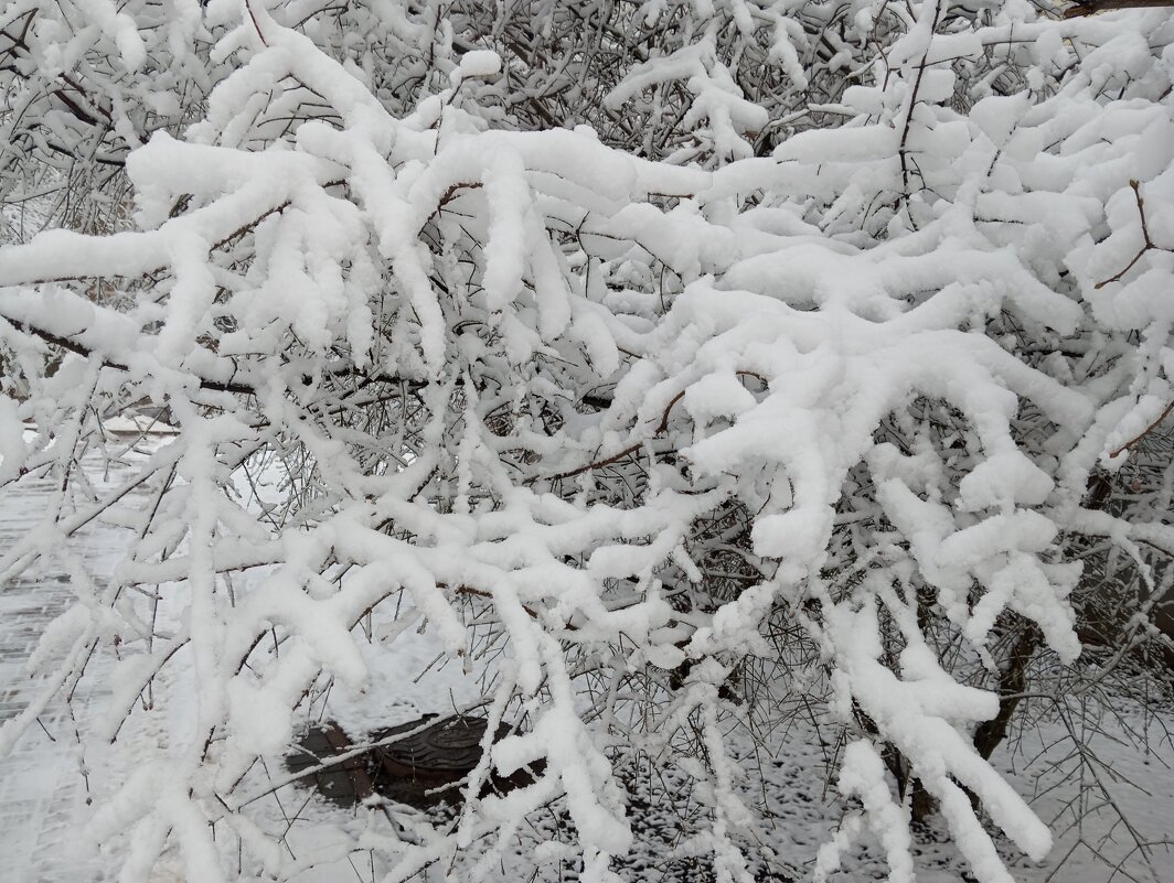 Да будет снег! - Елена Семигина