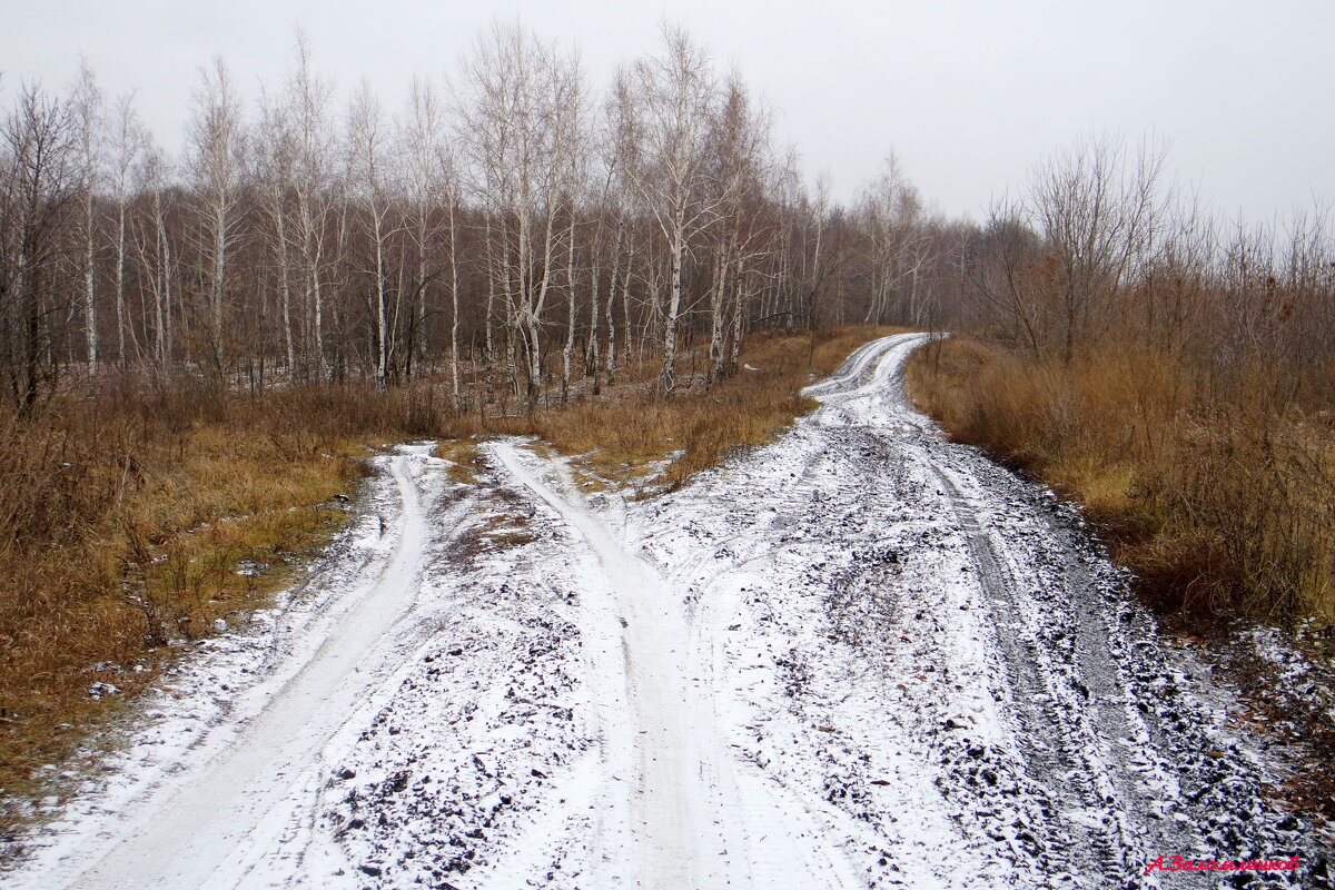 На развилках декабря.... - Андрей Заломленков
