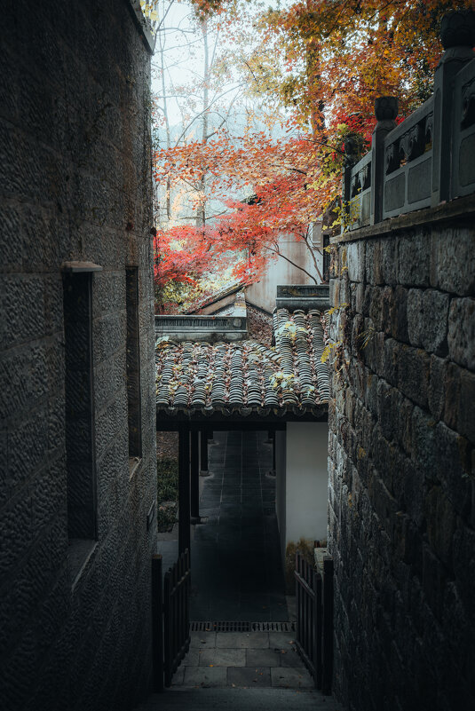 Осенью в парке - Дмитрий 