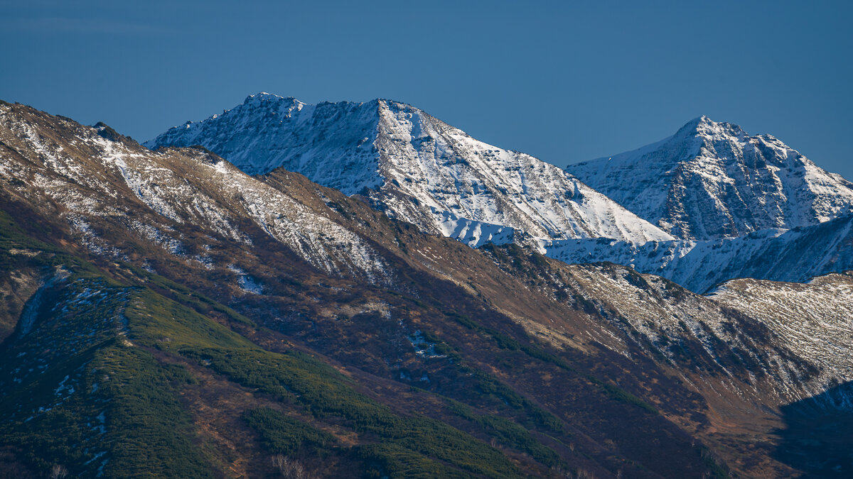 ... - Жора Житников