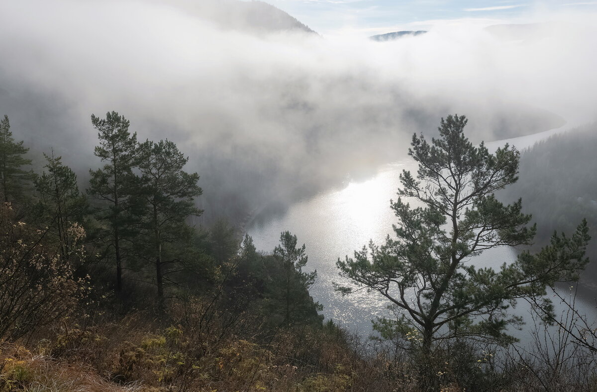 Когда стояли туманы - Марина Фомина.