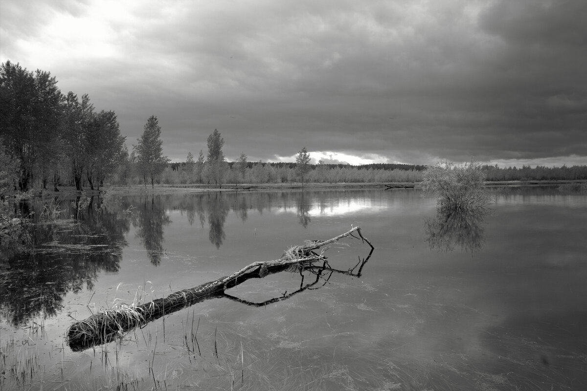 Первый ледок - Юрий Налобин