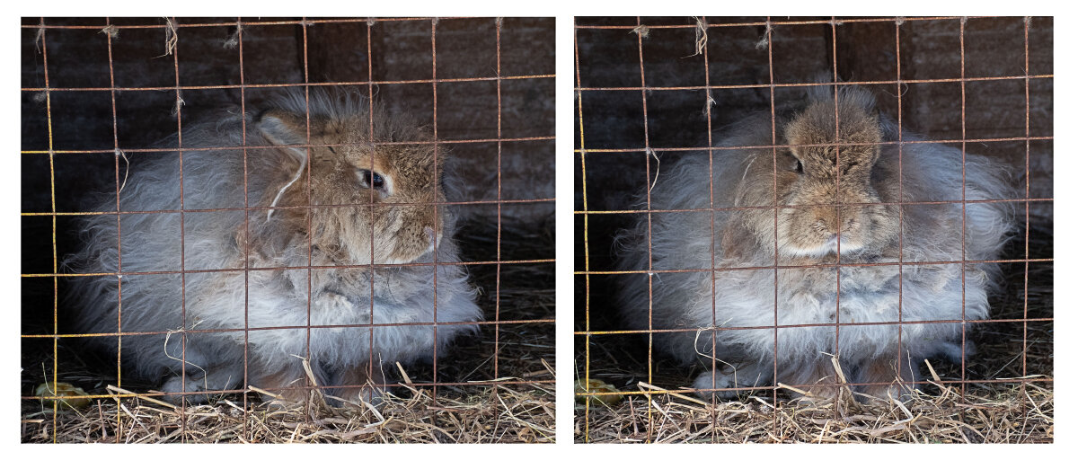 Сразу видно за дело посадили :) - Роман никандров