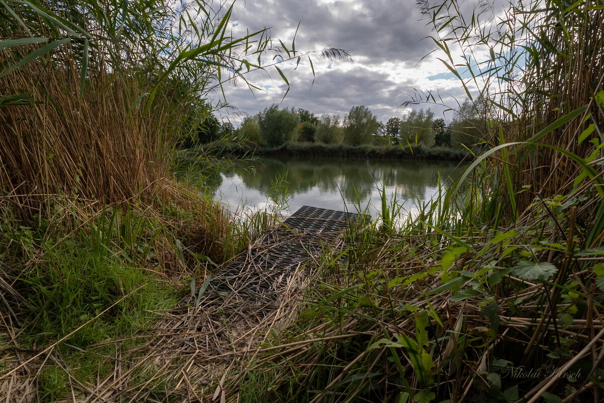 Мостки... - Николай Гирш
