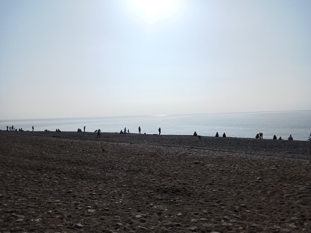 пляжи Дагомыса, ноябрь 25г. - Виктор пляжи Дагомыса, ноябрь 25г. - Виктор