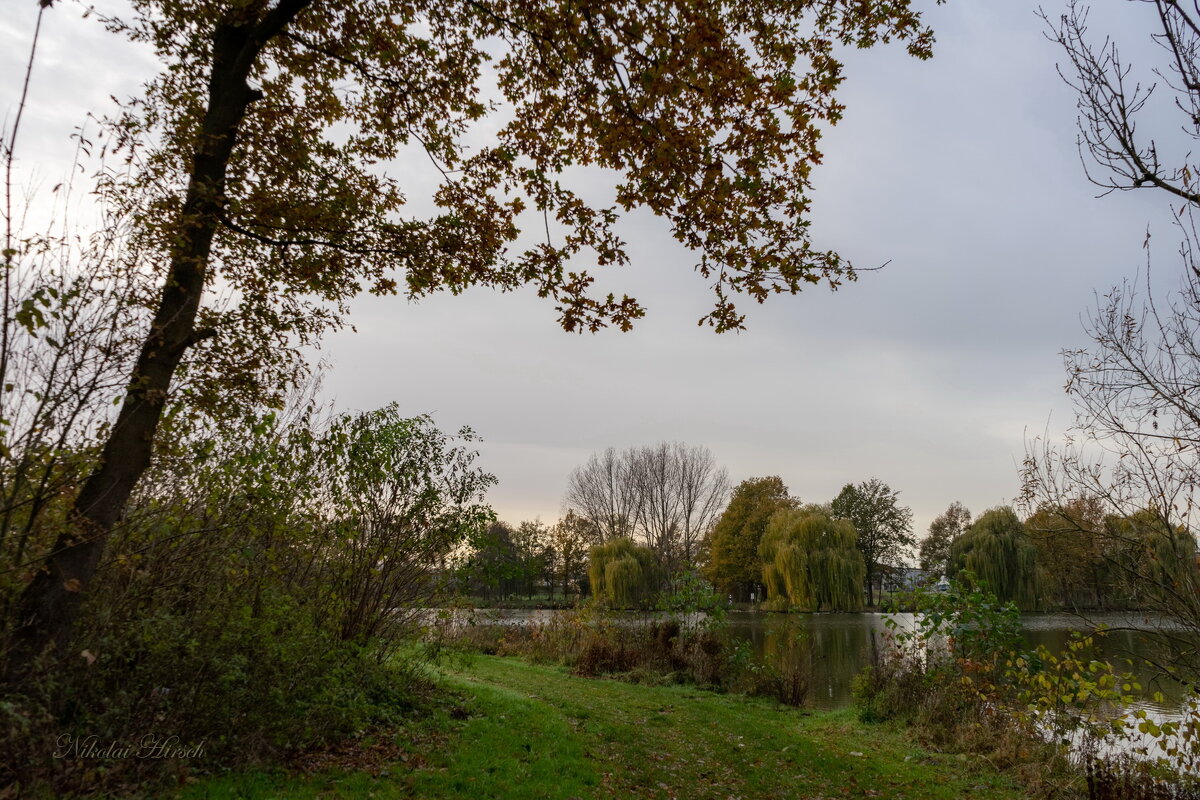 *** - Николай Гирш