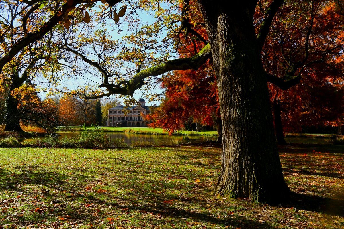 В парке замка "Фаворит" - Юрий. Шмаков В парке замка "Фаворит" - Юрий. Шмаков