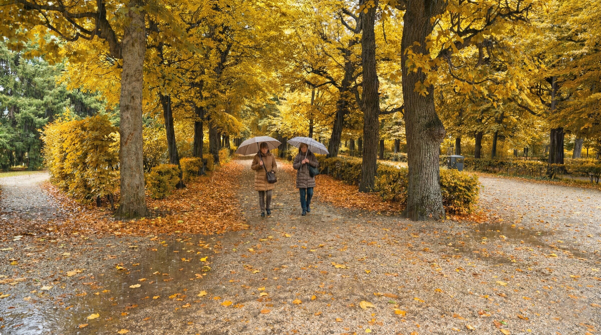 Осеннее настроние - Valentin Bondarenko