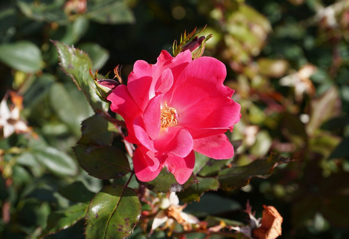 Прошедшей осени приметы - Татьяна Тюменка