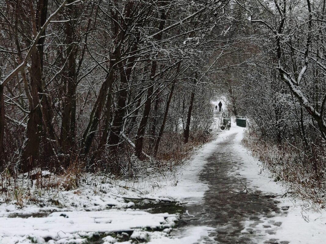 первоснежье декабря - Любовь первоснежье декабря - Любовь