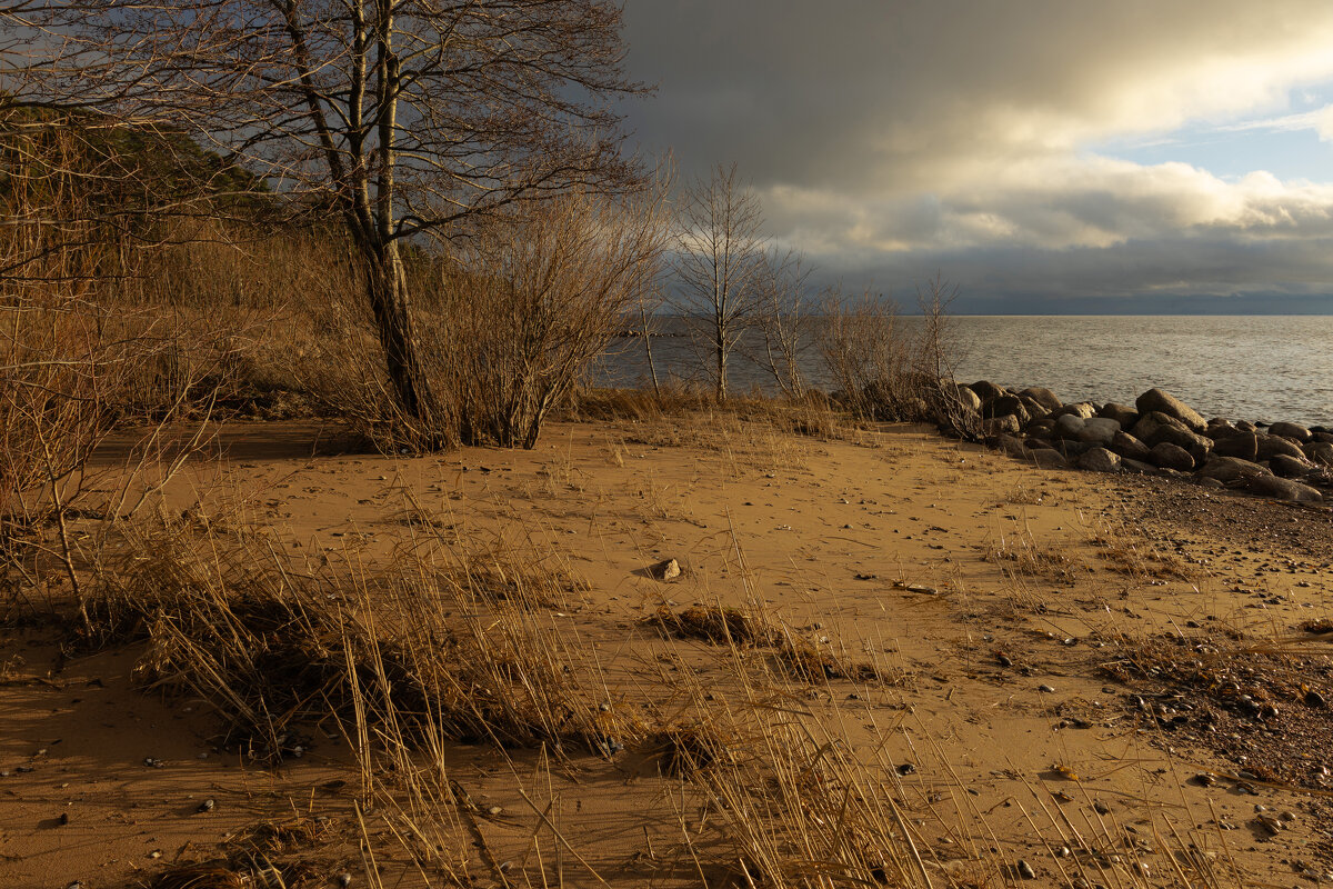 * - Светлана Воробьева 