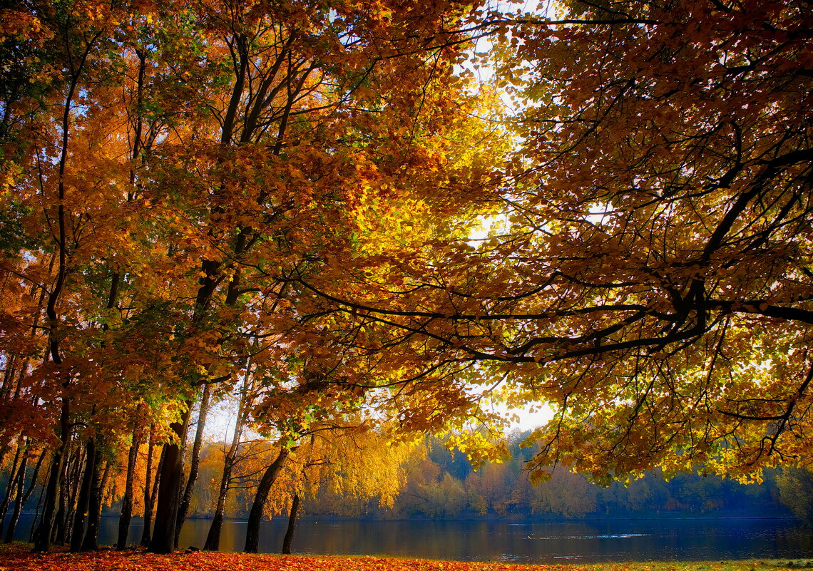 Осень золотая. - Марина Леонидовна Осень золотая. - Марина Леонидовна