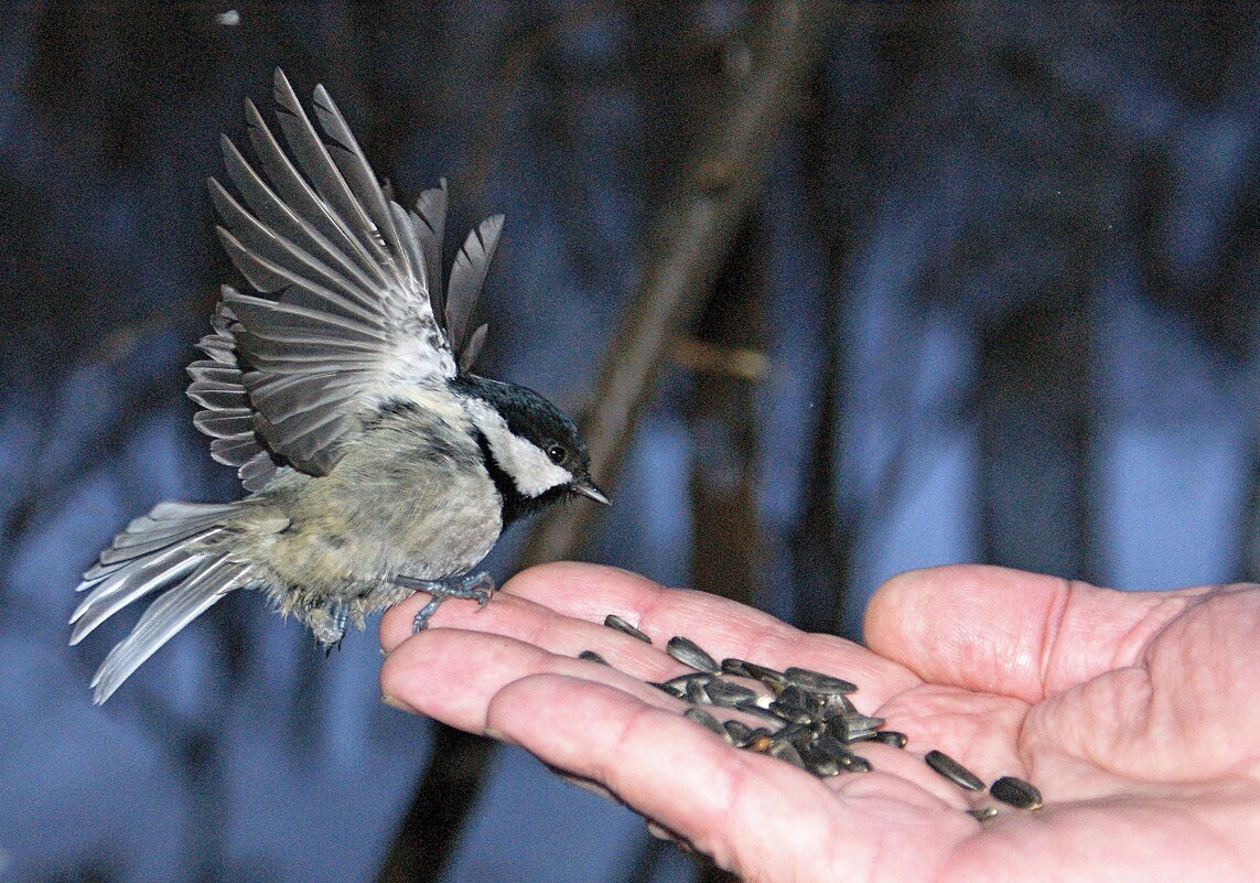 Приземлилась! - Галина Нестратова Приземлилась! - Галина Нестратова