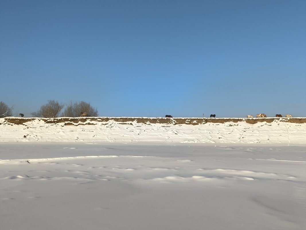 На протоке - Anna Ivanova На протоке - Anna Ivanova