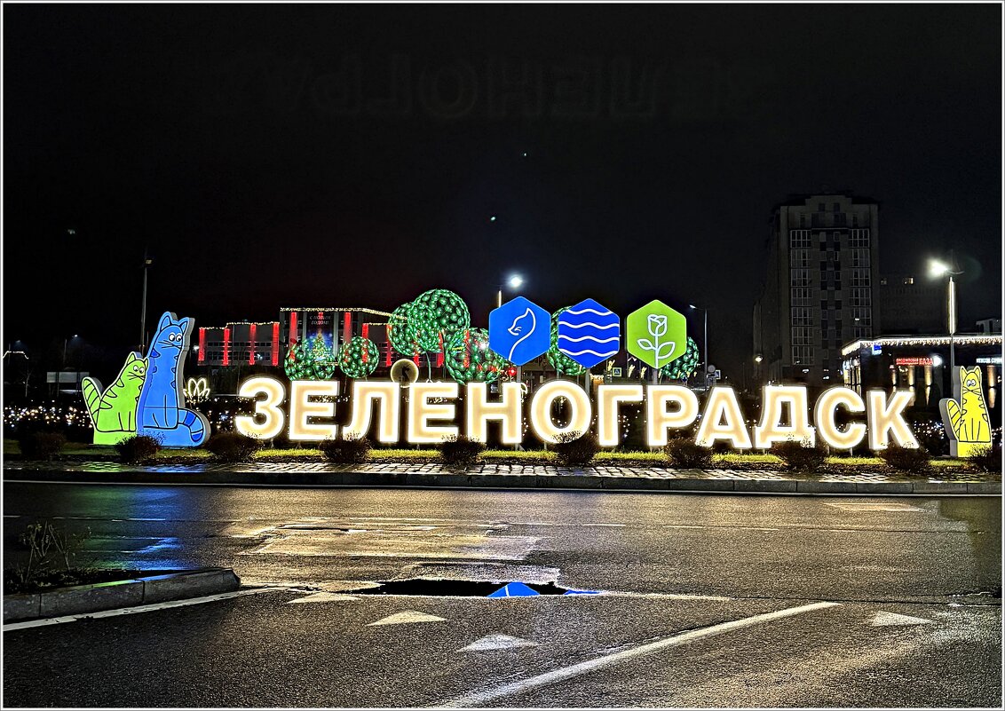 6 утра. Въезжаю в город котов и кошек. - Валерия Комова 6 утра. Въезжаю в город котов и кошек. - Валерия Комова