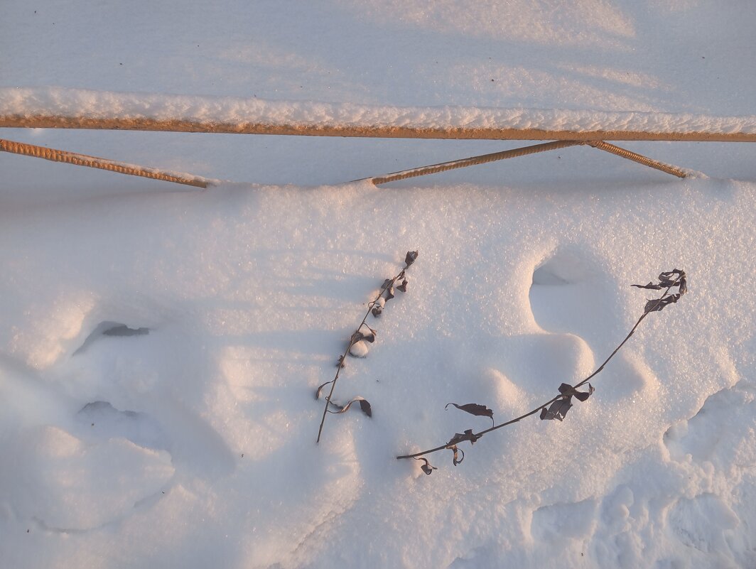 Да будет снег! - Елена Семигина Да будет снег! - Елена Семигина
