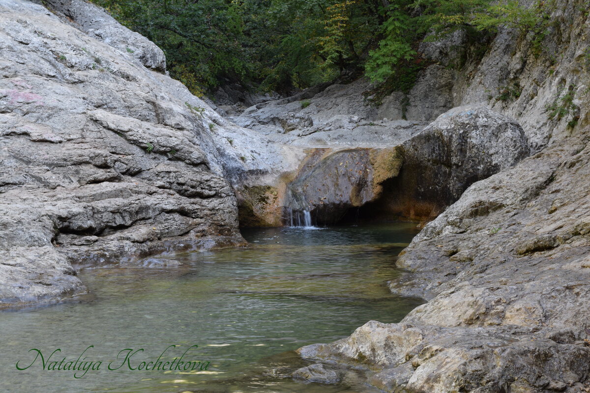 Природа Крыма - Amazing Cosmea Природа Крыма - Amazing Cosmea