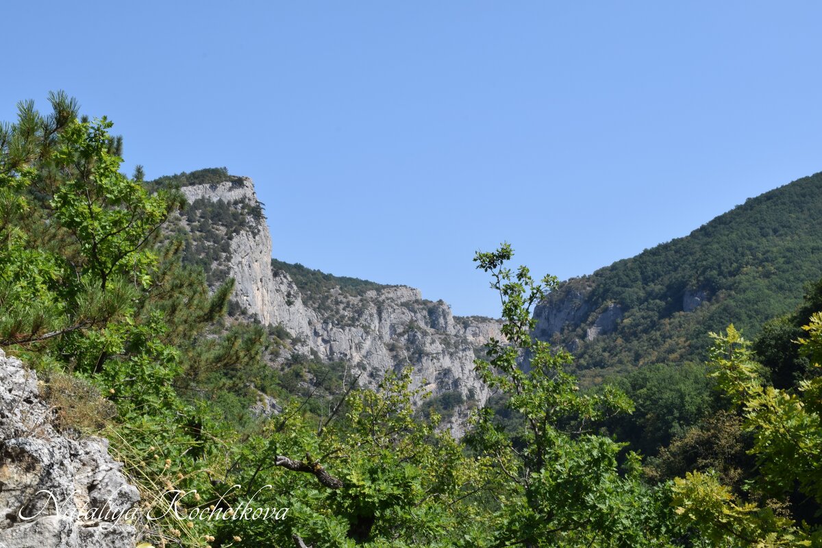 Природа Крыма - Amazing Cosmea