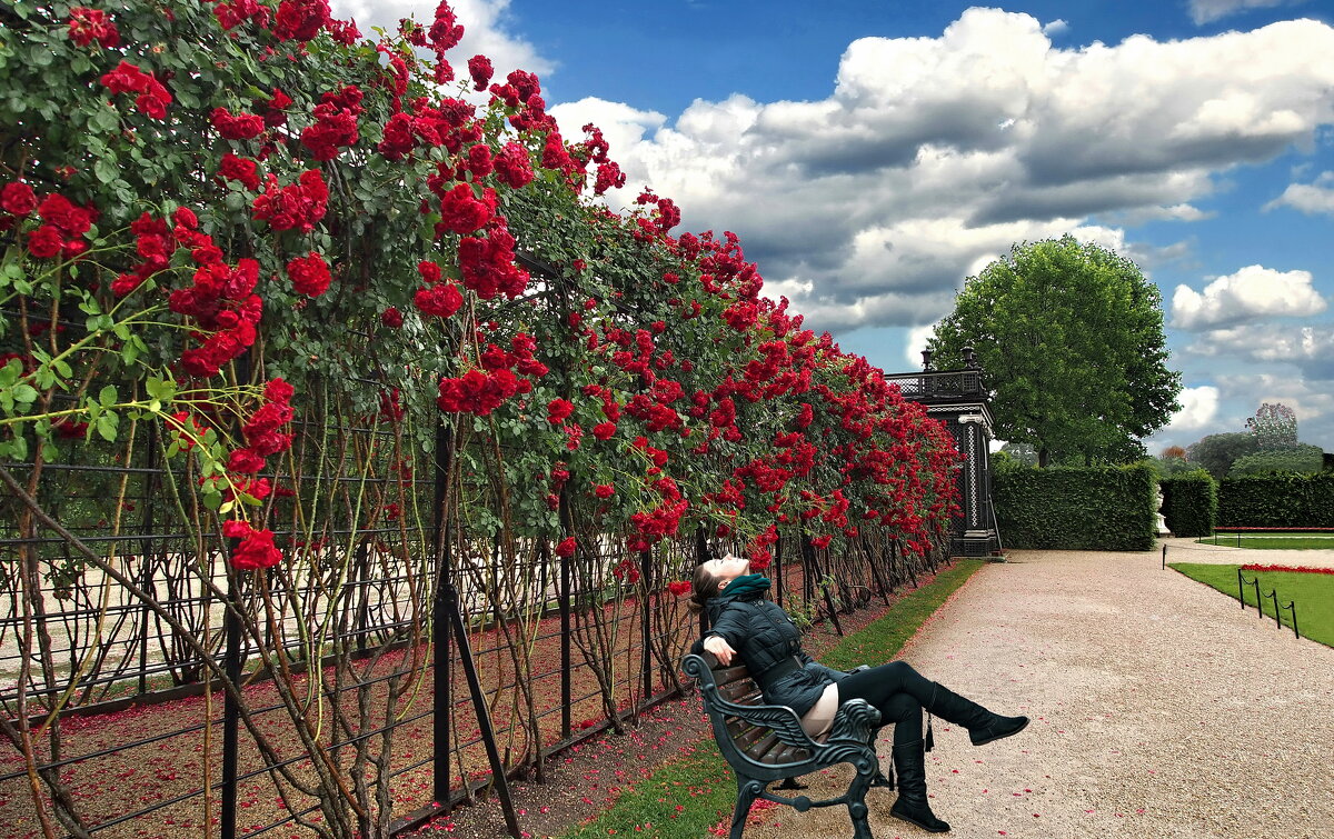 Ах , какой аромат... - Николай Рубцов Ах , какой аромат... - Николай Рубцов