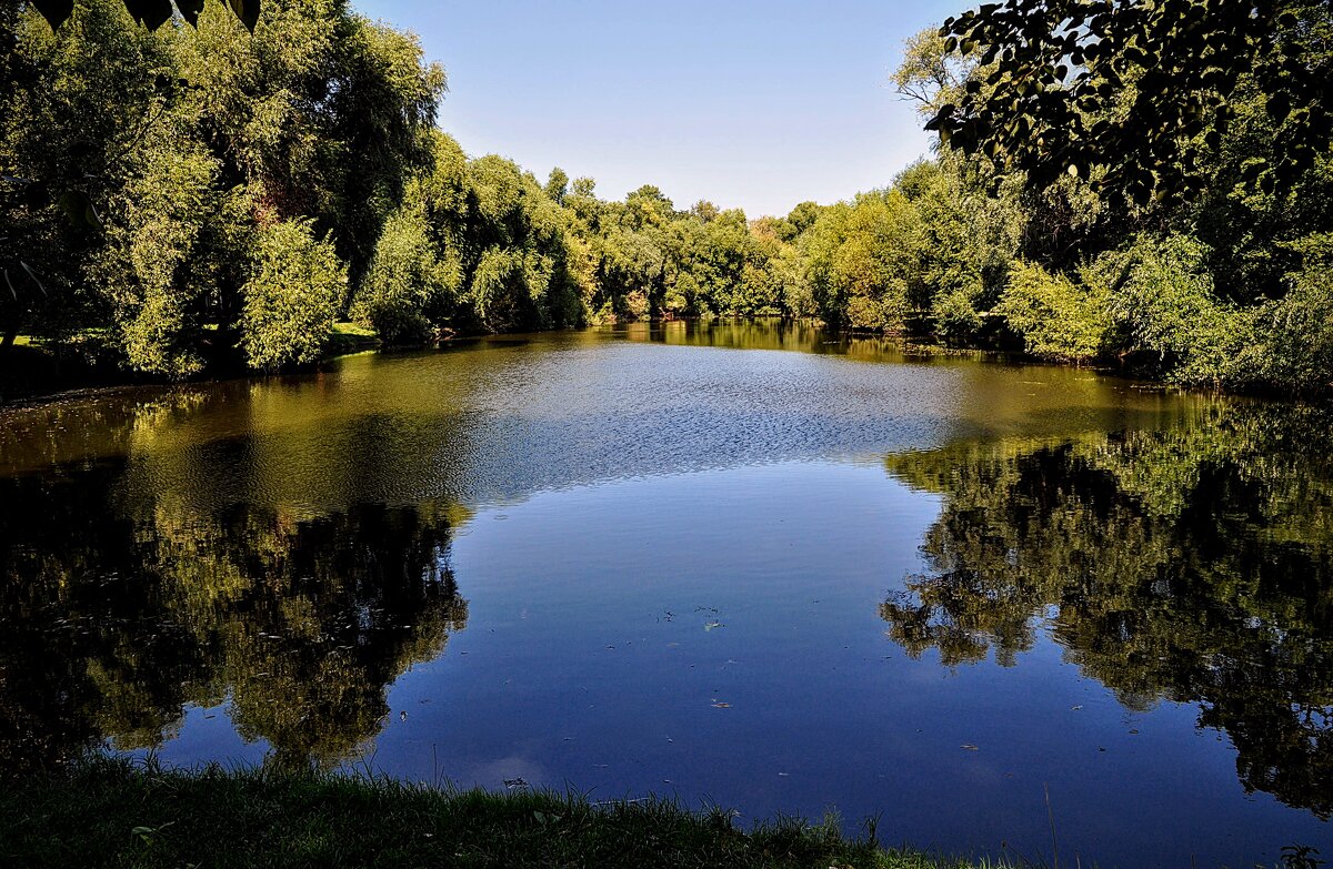 Головинский пруд - Анатолий Колосов Головинский пруд - Анатолий Колосов