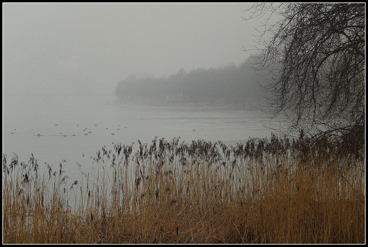 **8 - Aleksandr Gal **8 - Aleksandr Gal