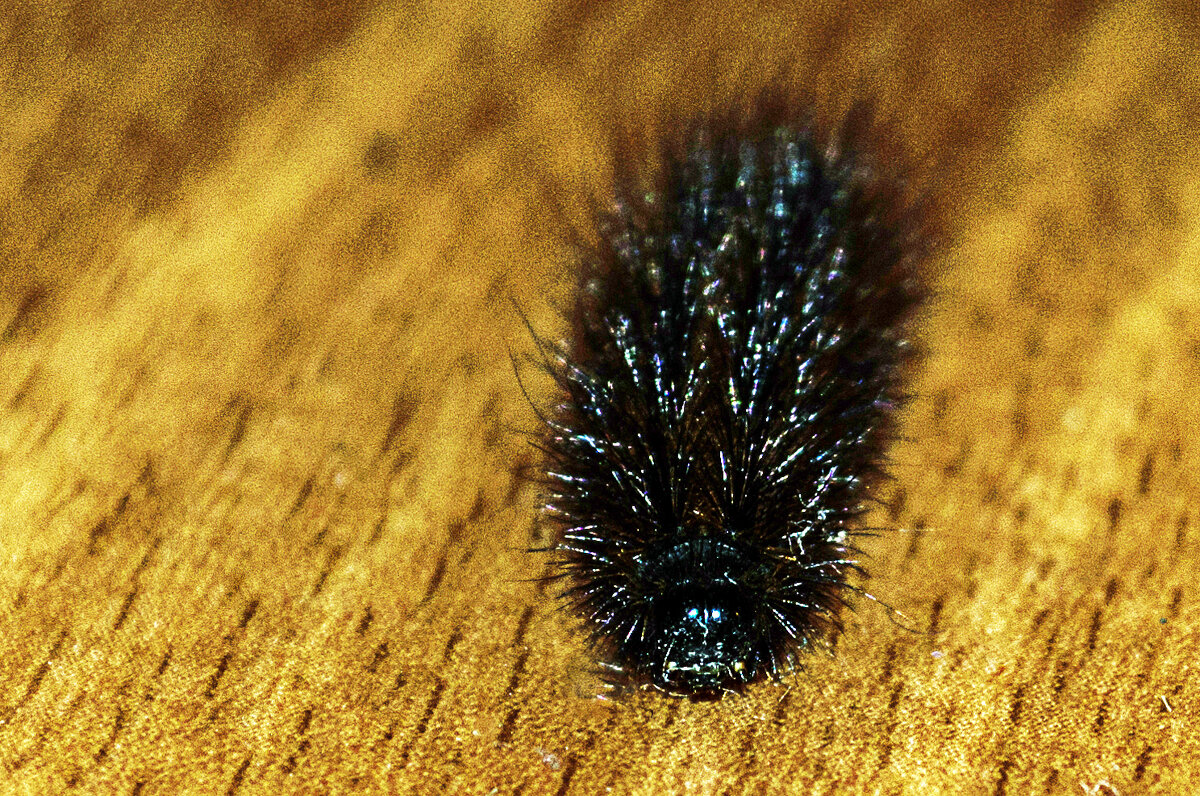 Утеплилась - Андрей Щетинин Утеплилась - Андрей Щетинин