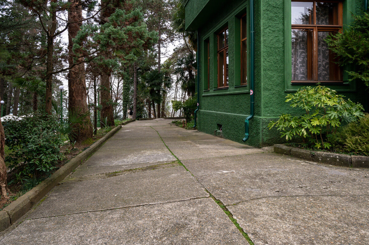 ... - Сергей Яковлев ... - Сергей Яковлев