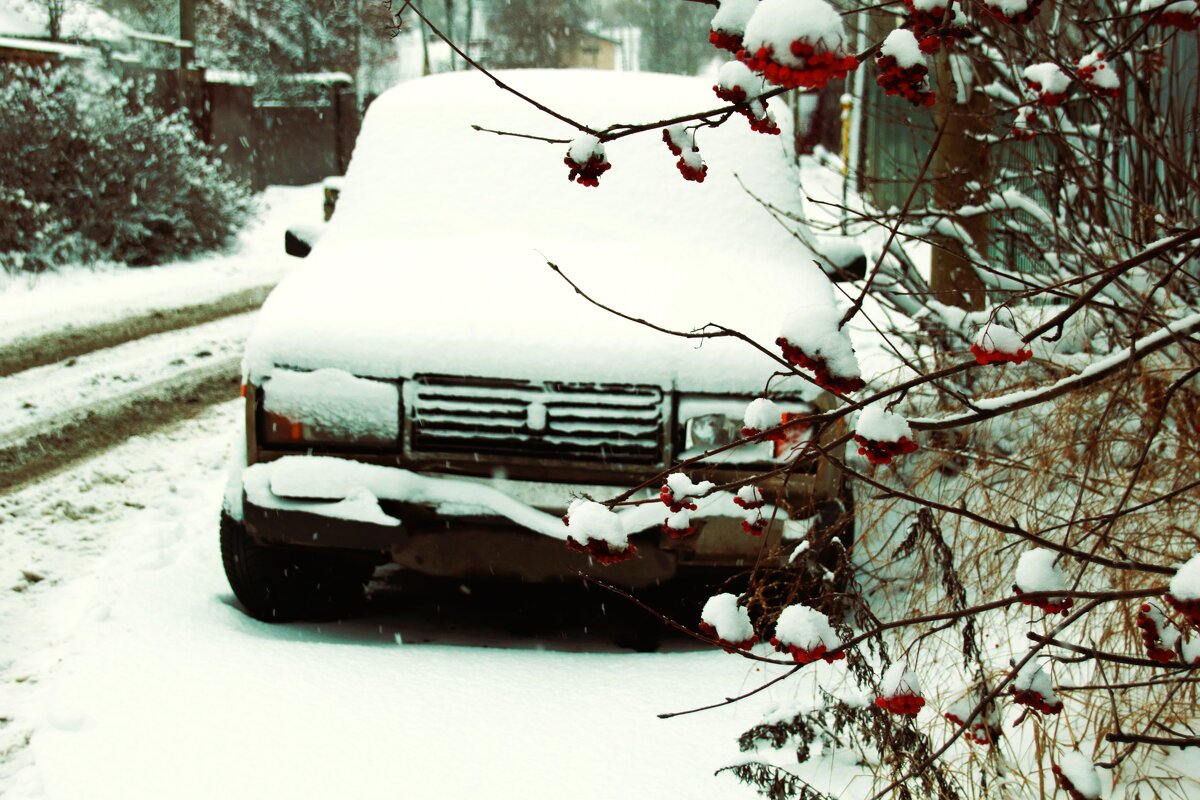 пРо.."подснежники" - Сергей Тарбеев