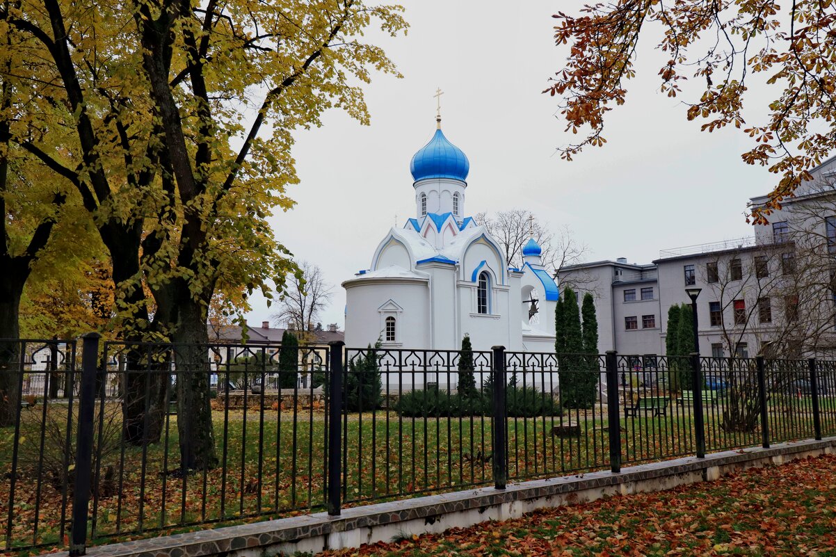 Б/Н - Николай Б/Н - Николай