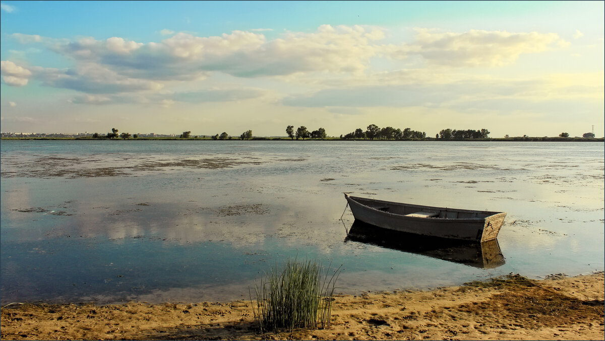 На Дону. - Александр На Дону. - Александр