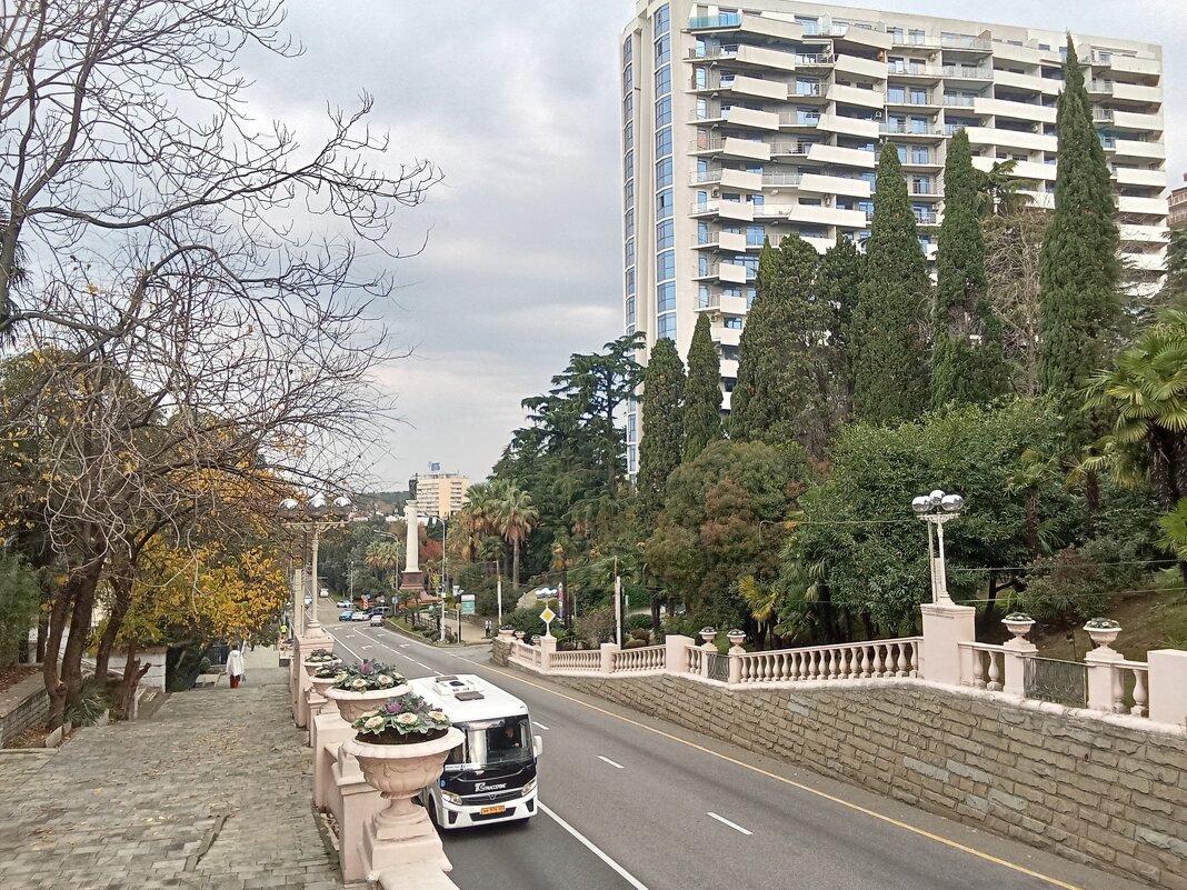 Улицы Сочи - Виктор 