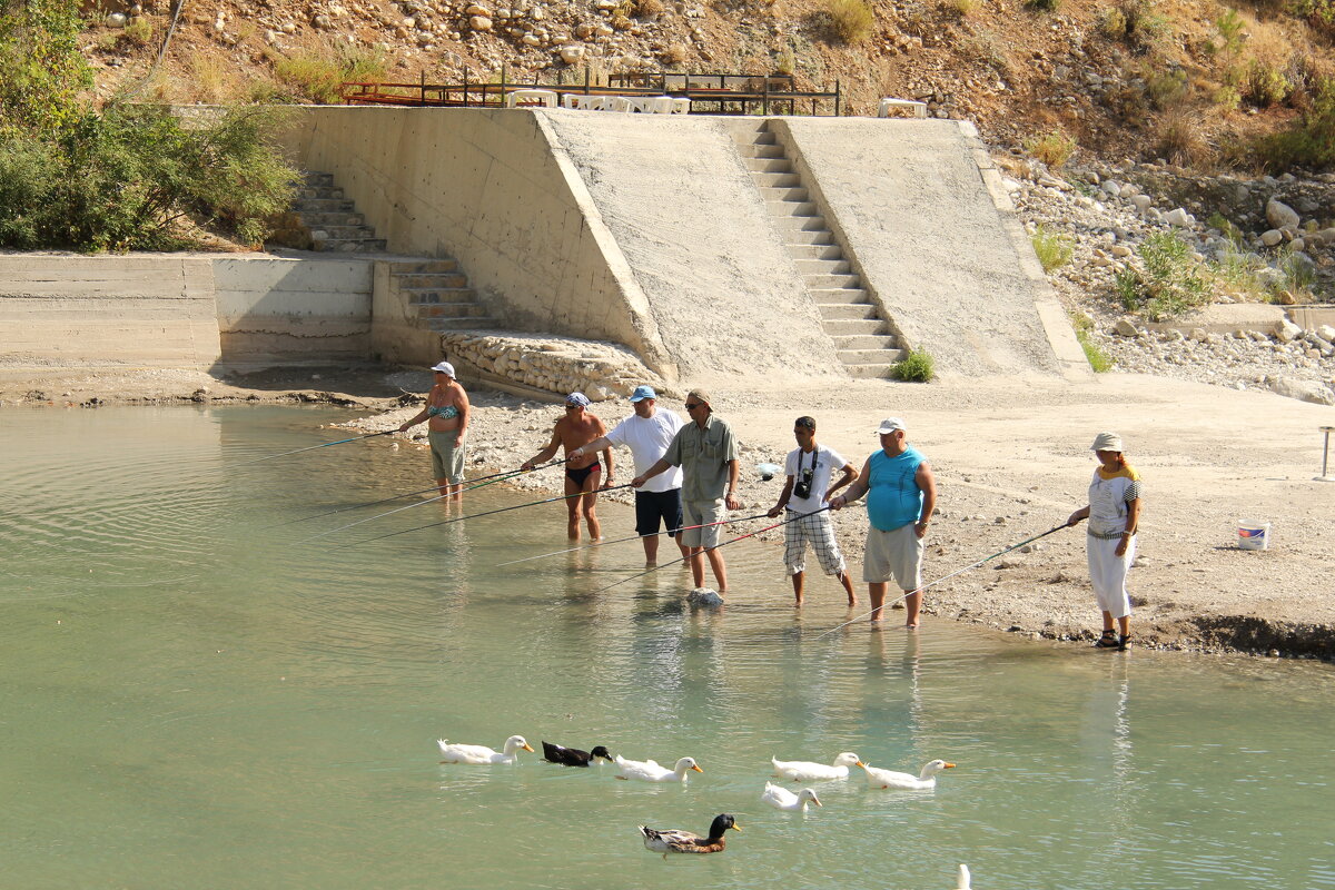 Форелевая рыбалка. Чамьюва. Турция - Gen Vel Форелевая рыбалка. Чамьюва. Турция - Gen Vel