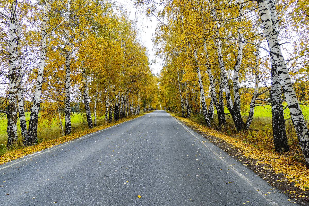 осень на Южном Урале - petyxov петухов осень на Южном Урале - petyxov петухов
