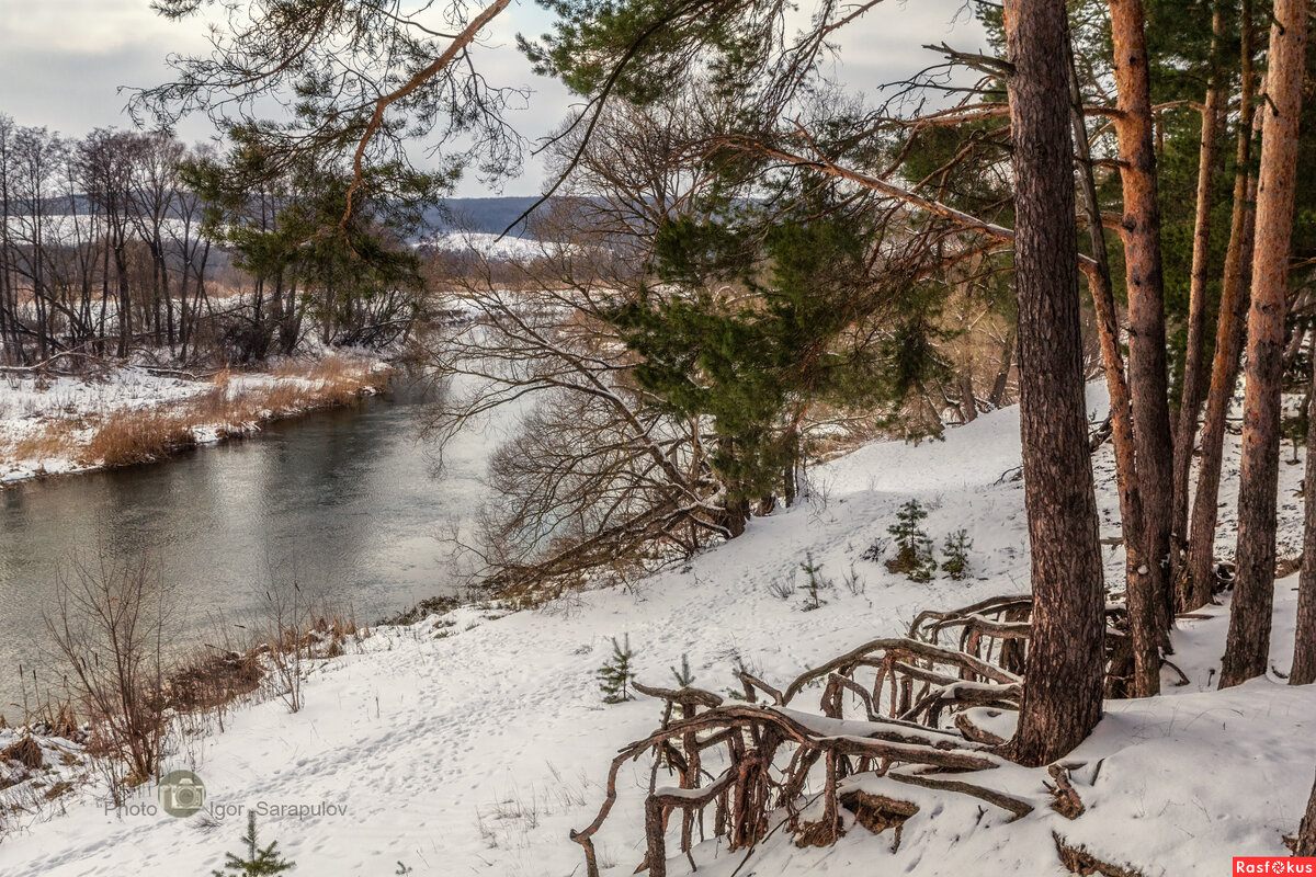 На закате зимнего дня - Игорь Сарапулов На закате зимнего дня - Игорь Сарапулов