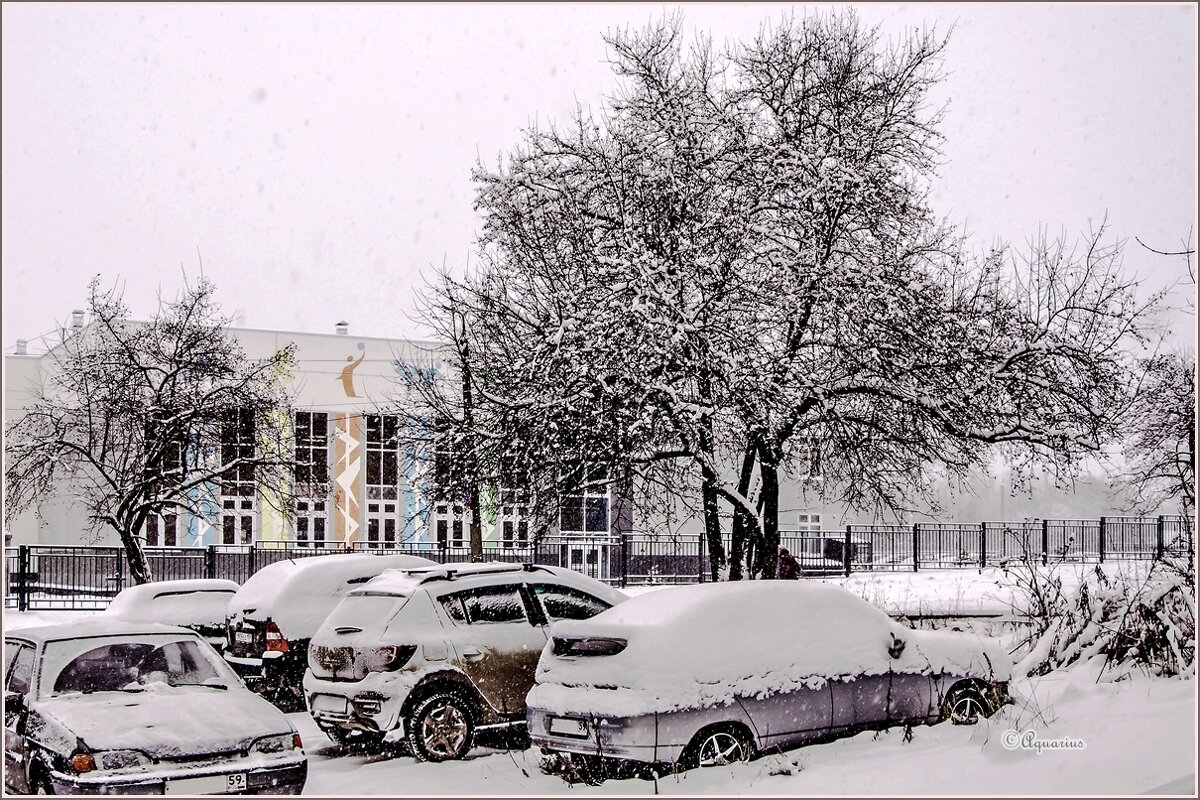 Декабрь... - Aquarius - Сергей Декабрь... - Aquarius - Сергей