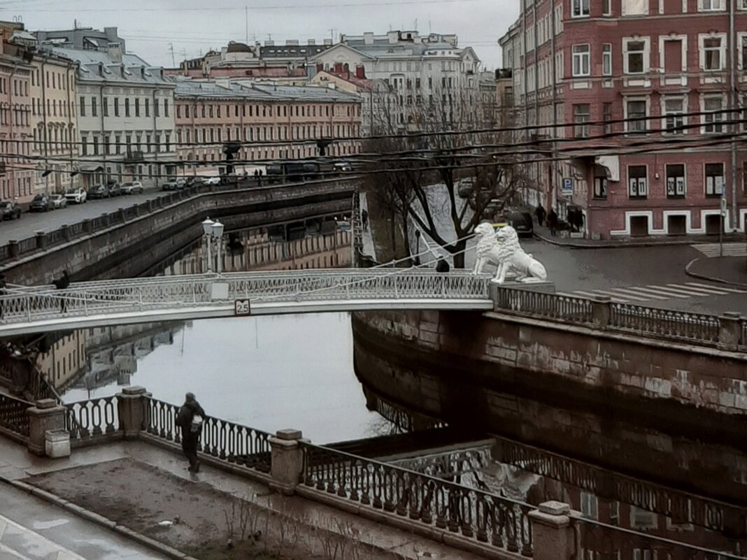 Канал Грибоедова. Вид из окна - Наталья Герасимова Канал Грибоедова. Вид из окна - Наталья Герасимова