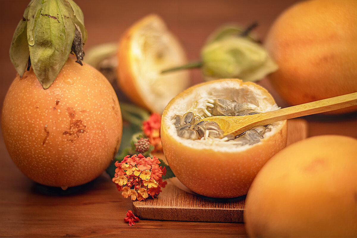 Гранадилла. - Svetlana Galvez Гранадилла. - Svetlana Galvez