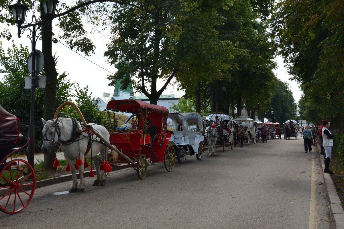 кареты поданы - Галина R...