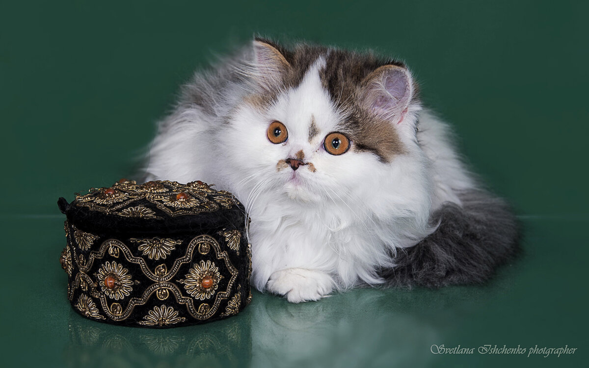 Бусинка - Светлана Ищенко Бусинка - Светлана Ищенко